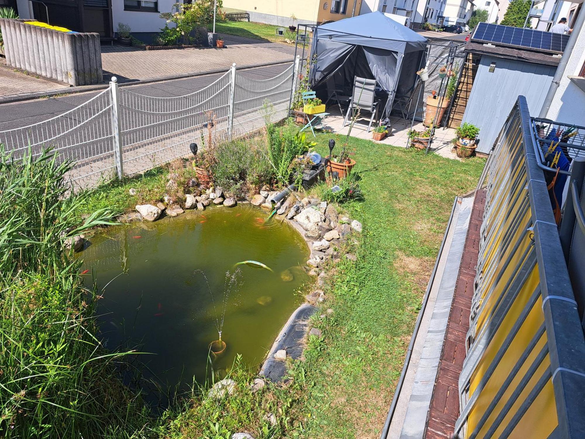 Ferienwohnung Hilgert Sankt Sebastian Bagian luar foto